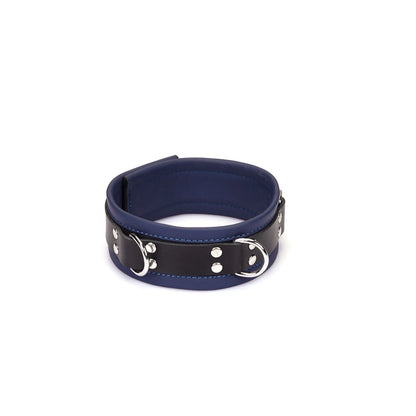Dominion Leather Collar and Leash