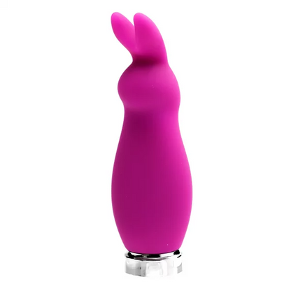 Crazy Bunny Vibrator