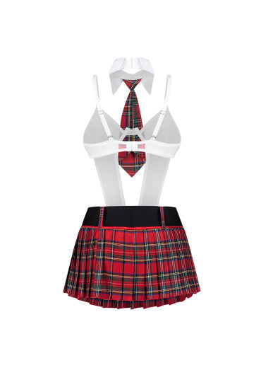 The Naughty Scholar Costume