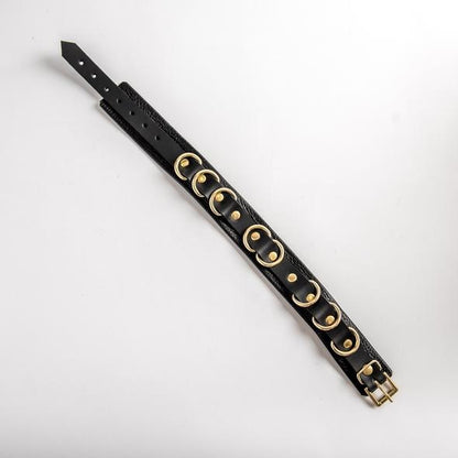 Aslan Black Panther Collar