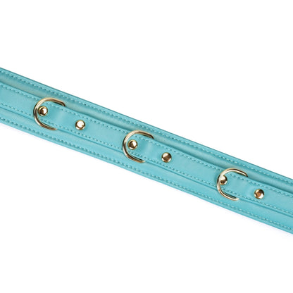 Valkyrie Vice Leather Collar and Leash