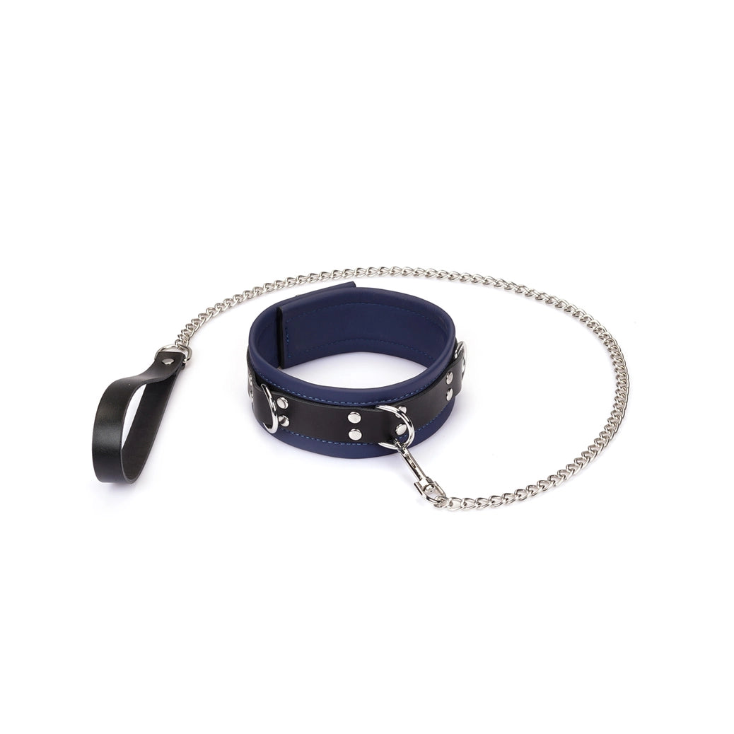 Dominion Leather Collar and Leash