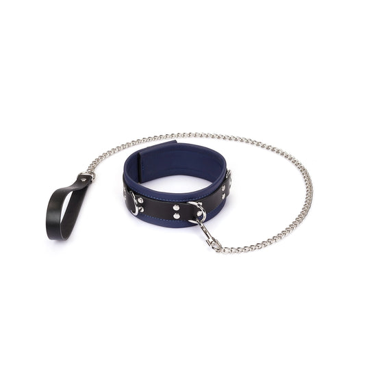 Dominion Leather Collar and Leash