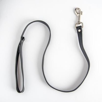 Aslan Leather Leash