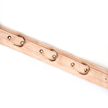 Plush Velour Pink Collar with Leash