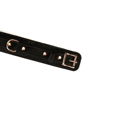 Plush Velour Black Collar with Leash