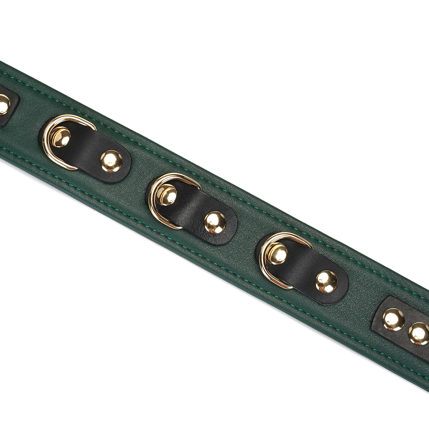 Evergreen Leather Collar with Leash