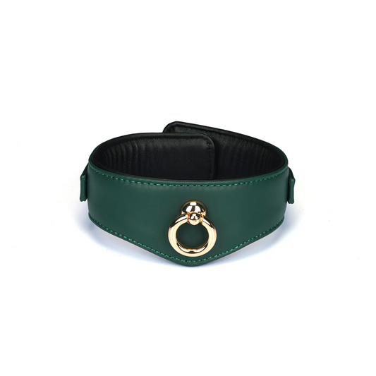 Evergreen Curved Leather Collar With Lock