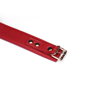 Red Vegan Leather Collar with Leash