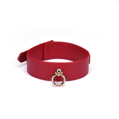 Red Vegan Leather Collar with Leash