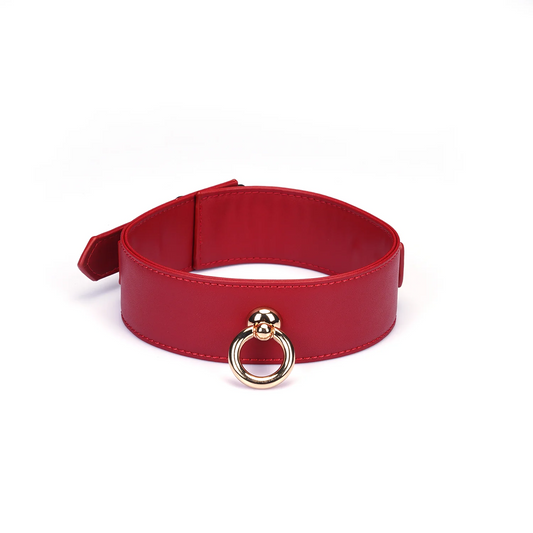 Red Vegan Leather Collar with Leash