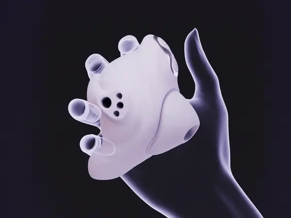 Conch Suction & Insertable Vibrator Set