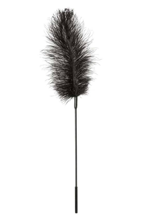 Ostrich Feather on a Stick