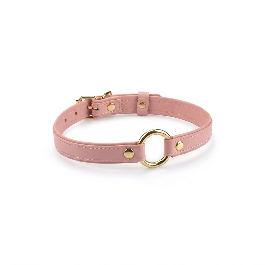 Heron Leather Mini O Ring Collar - Gold Hardware Pink