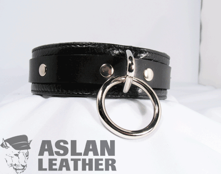 Aslan Jaguar Collar