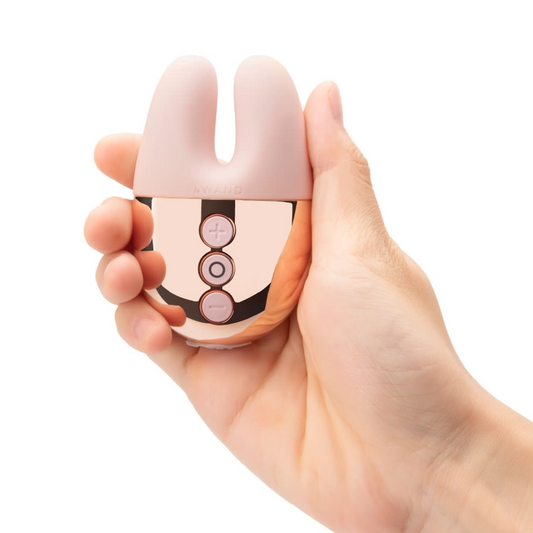 Le Wand Chrome Double Vibe