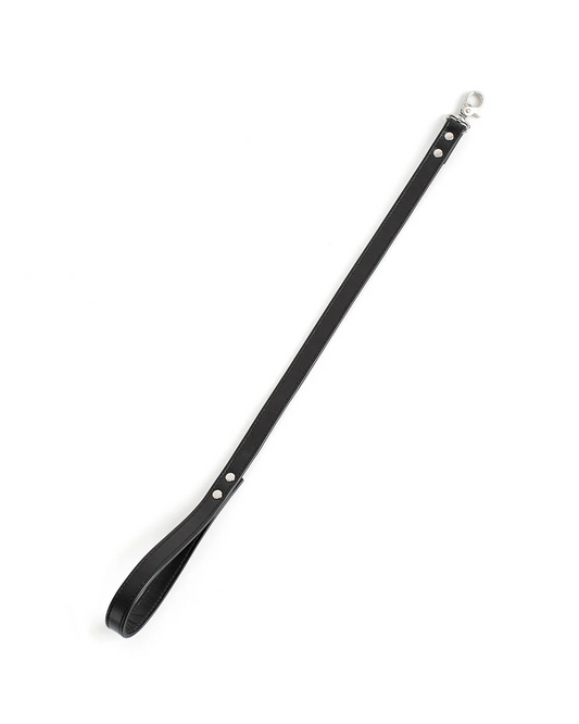 leather leash black and silver