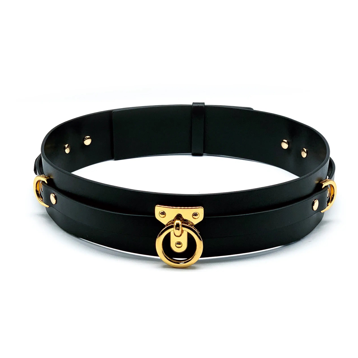 Discipline Leather Bondage Belt