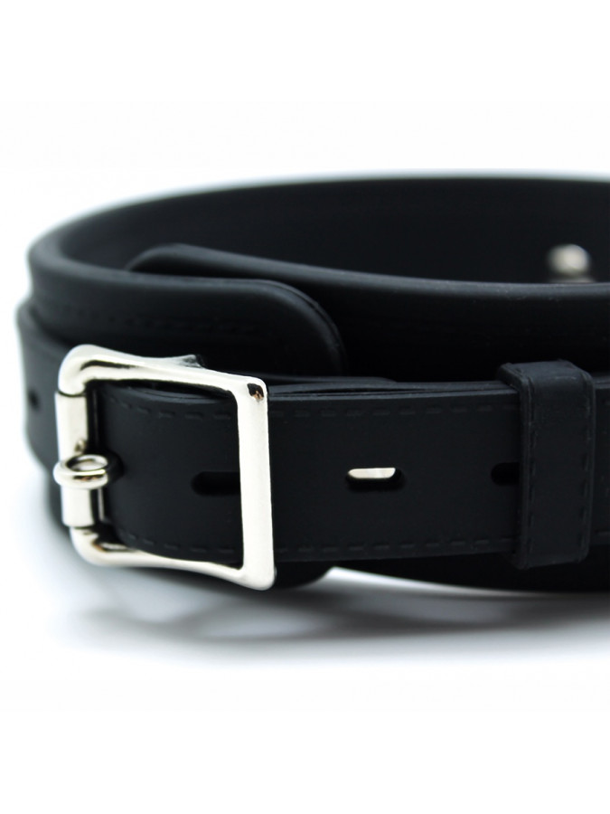 Silicone Collar & Leash