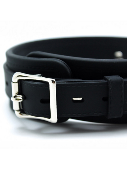 Silicone Collar & Leash