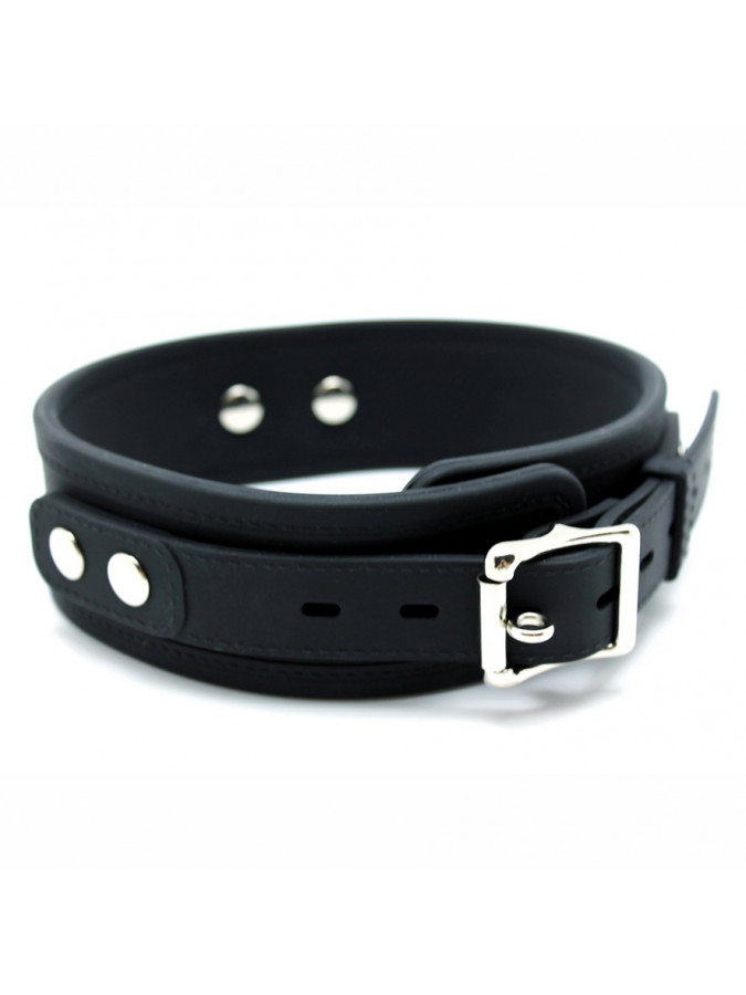 Silicone Collar & Leash