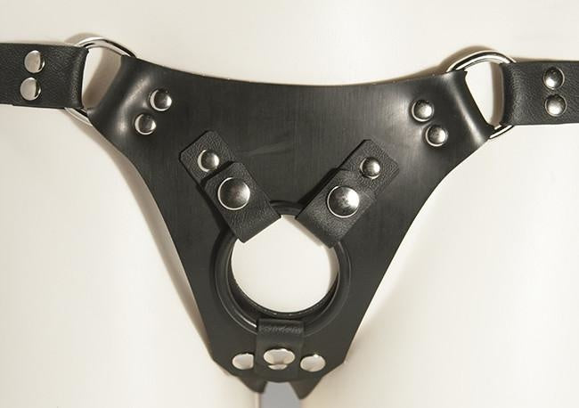 Aslan Vegan Leather Classic Harness Silver Hardware