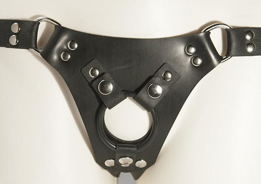 Aslan Vegan Leather Classic Harness Silver Hardware